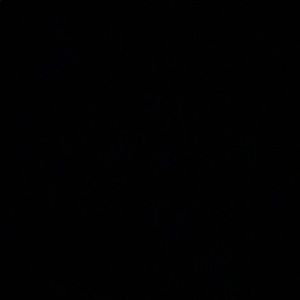 Meet your Posher, Soroush